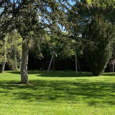 Le jardin