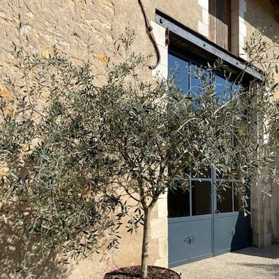 Salle de réception