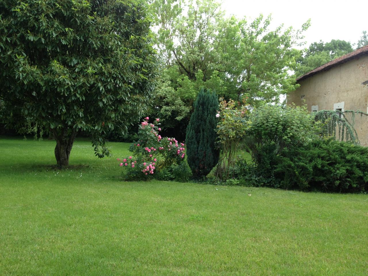 Le jardin à l'arrière de la maison