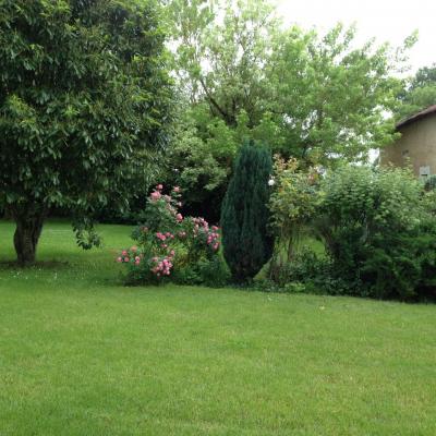 Le jardin à l'arrière de la maison