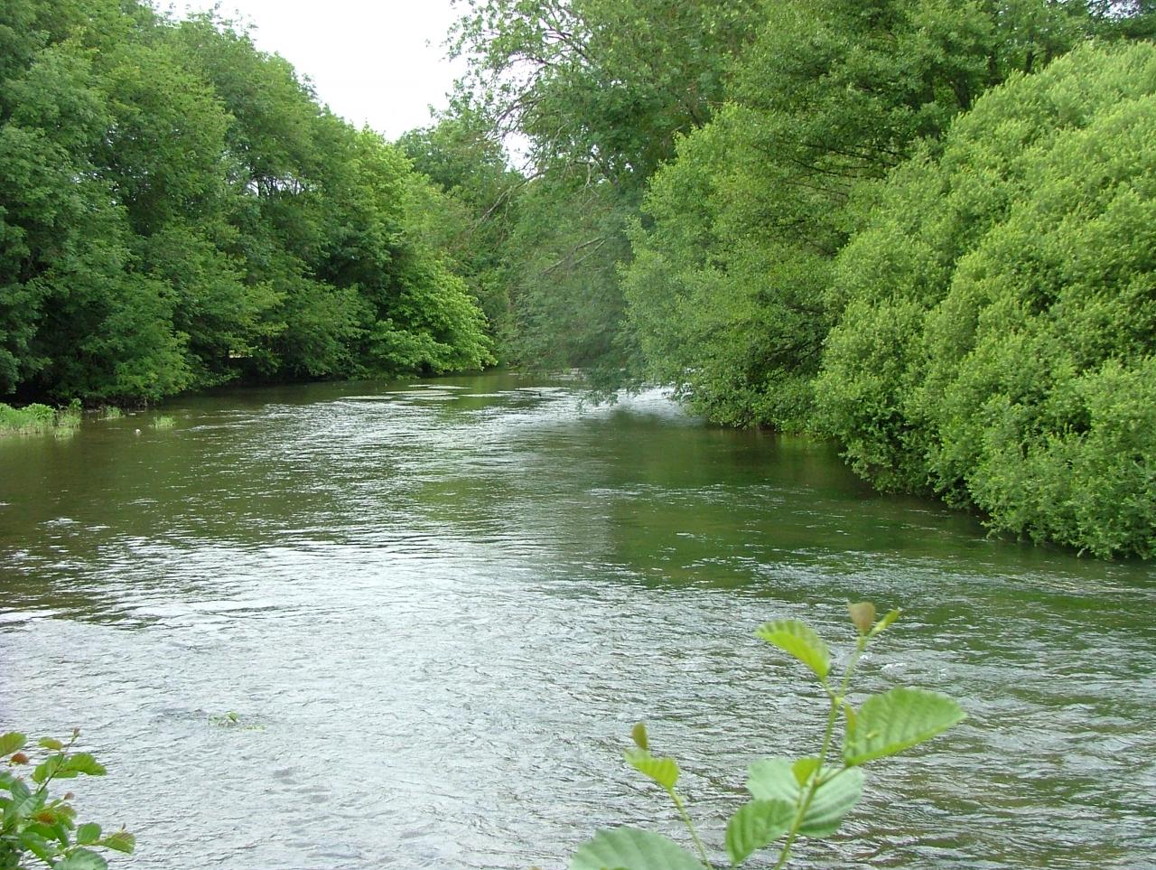 L'Yonne et sa vallée verte