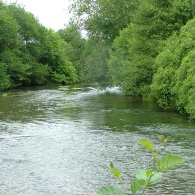 L'Yonne et sa vallée verte