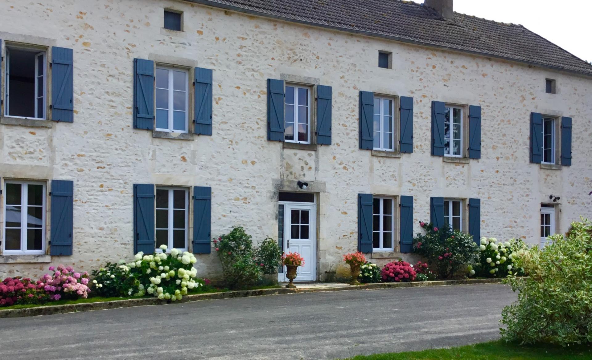 Hydrangeas et rosier en fleurs